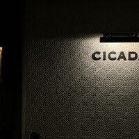 CICADA - 