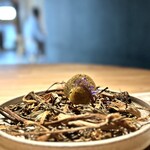 レスピラシオン - ⑳うど、トンカ豆クリーム、台湾ウーロン茶のチュイール