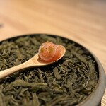 レスピラシオン - ⑪シマ海老のマリネ