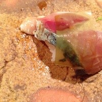 おざき - 