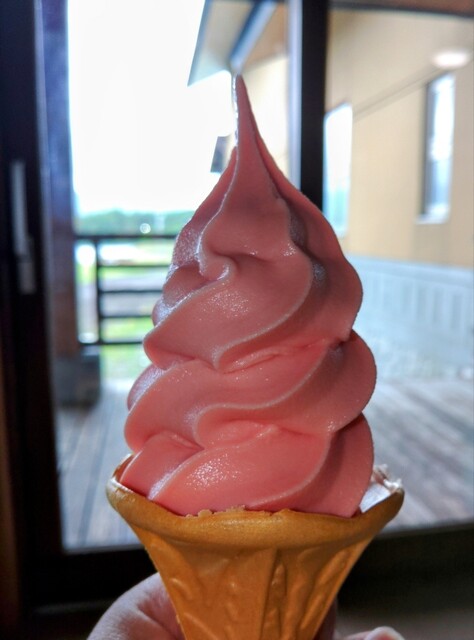 徳良湖温泉 花笠の湯 - 尾花沢市その他（その他）の写真