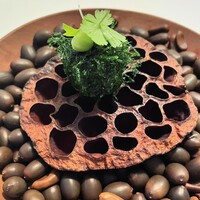 Installation Table ENSO L'asymetrie du calme - 