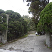 日出町的山荘 - 