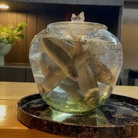 しの田 - 面河川(おもごがわ)産の、友釣り天然鮎。6月から解禁。