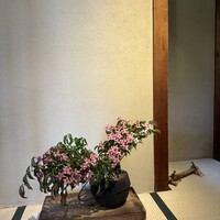 京味 もと井 - 玄関　いつも季節のお花が飾ってあって素敵です