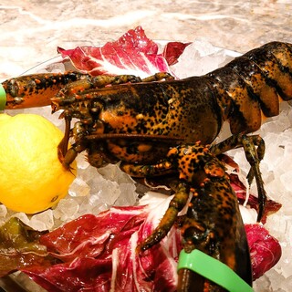 ＜LIVE!LOBSTER＞活けオマール海老