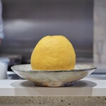 Haruka Murooka - 愛媛産河内晩柑