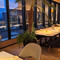 MOSS CROSS TOKYO - 