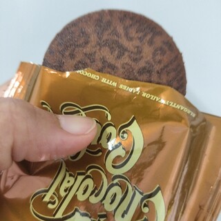 ザ・テイラー_0