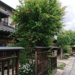 日本料理 すぎ多 - 