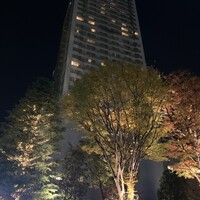 故宮 - 