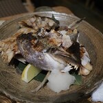 ビストロ割烹 YAOYA - 