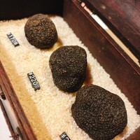 マルゴット エ バッチャーレ - 