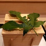 馬車道 大かわ - 梶の葉