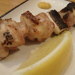 炭火焼鳥 おんどり - ねぎま