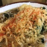 そばの神田東一屋 - ええい面倒だ、一味も七味もブチまけろ！  #BCMKR!