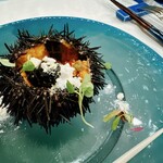 ウニ専門レストラン  unico-co - 