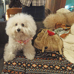 アネア　カフェ - 描いていただきました！！