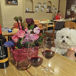 アネア　カフェ - スペインのワインはタペーニャ