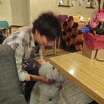 アネア　カフェ - アンジェリーナを観察中・・