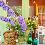 hermetic earth cafe - 