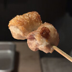 炭焼 おかげさん - 高坂鶏ソリアカ