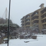 四季彩一力 - 庭