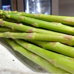 Haruka Murooka - ジェットファーム長谷川さんの アスパラ