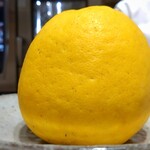 Haruka Murooka - 河内晩柑