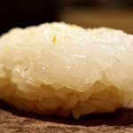 島津 - 泥障烏賊(追加)