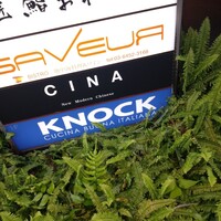 CINA New Modern Chinese - 