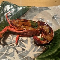 御曹司 松六家 - 