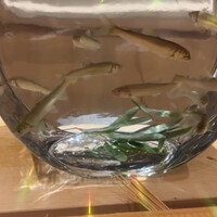 西麻布 万葉 - 