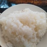 四日市ヒモノ食堂 - ごはん普通盛り