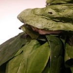 フロリレージュ - 宮崎産放牧黒豚のベーコンとほうれん草