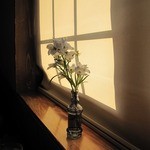 クローバーステーキハウス - 