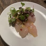 トラットリア コルディアーレ - 