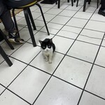 飽之林豆漿大王 - 