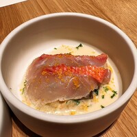 NeMo - 