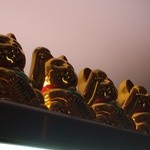 めっちゃ招かれてる。。