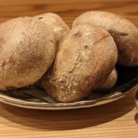 MITARI - 