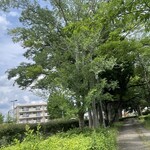 レイドバックバーガー - 