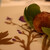 AMOUR - 料理写真: