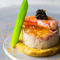 蓮歌＜れんか＞コース（8品）※7月26日迄で終了。8月1日から価格改定