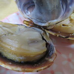 満幸商店 - おく貝