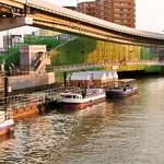 Kaki Goya Hompo - 土佐堀川に架かる端建蔵橋から見た牡蠣舟