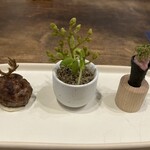 NOBI - 真ん中の、アンチョビと茄子の土台が特に素晴らしい