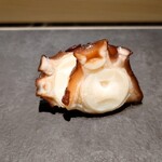 島津 - 佐島の蛸