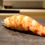 島津 - 種子島の車海老