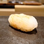 島津 - 障泥烏賊